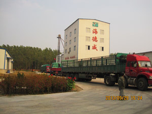 ��˾��������